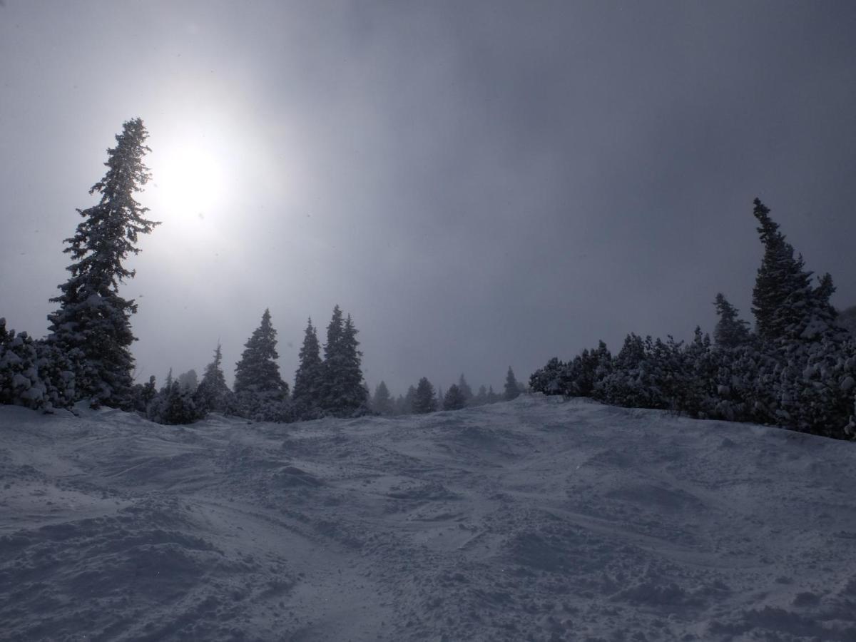 Borovets Apartments, Iglika 2 Екстериор снимка